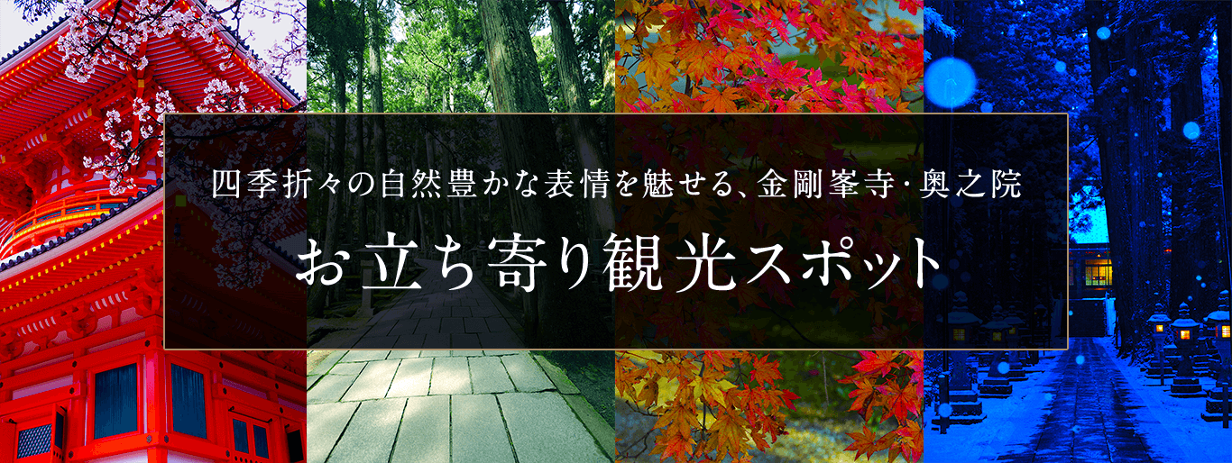 四季折々の自然豊かな表情を魅せる、金剛峯寺・奥之院 お立ち寄り観光スポット